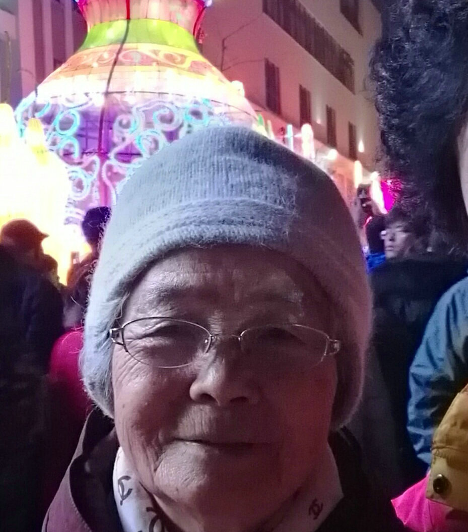 春节去看趵突泉花灯 2017