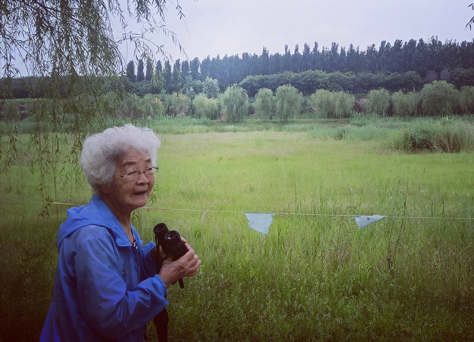 盛夏时节，去玉清河寻鸟 2021年8月5日