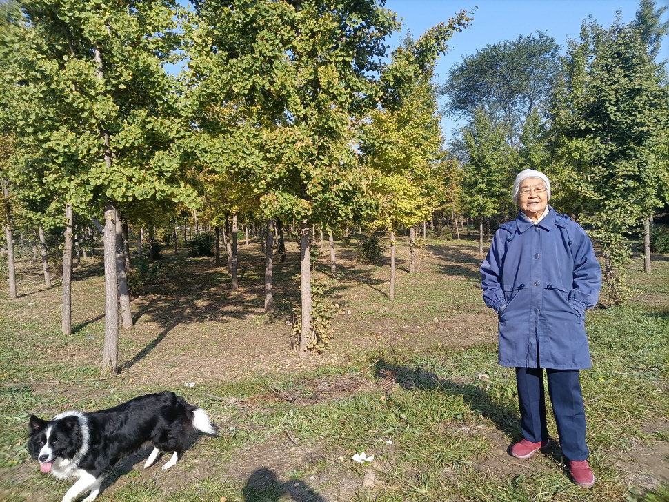 初秋的黄河大堤遛狗晒太阳，2021年10月20日